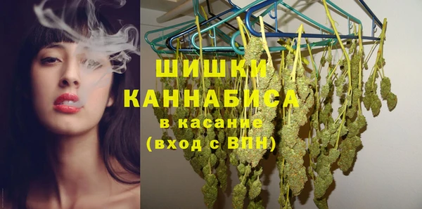 PSILOCYBIN Нефтекумск