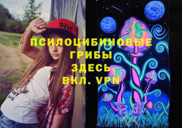 PSILOCYBIN Нефтекумск